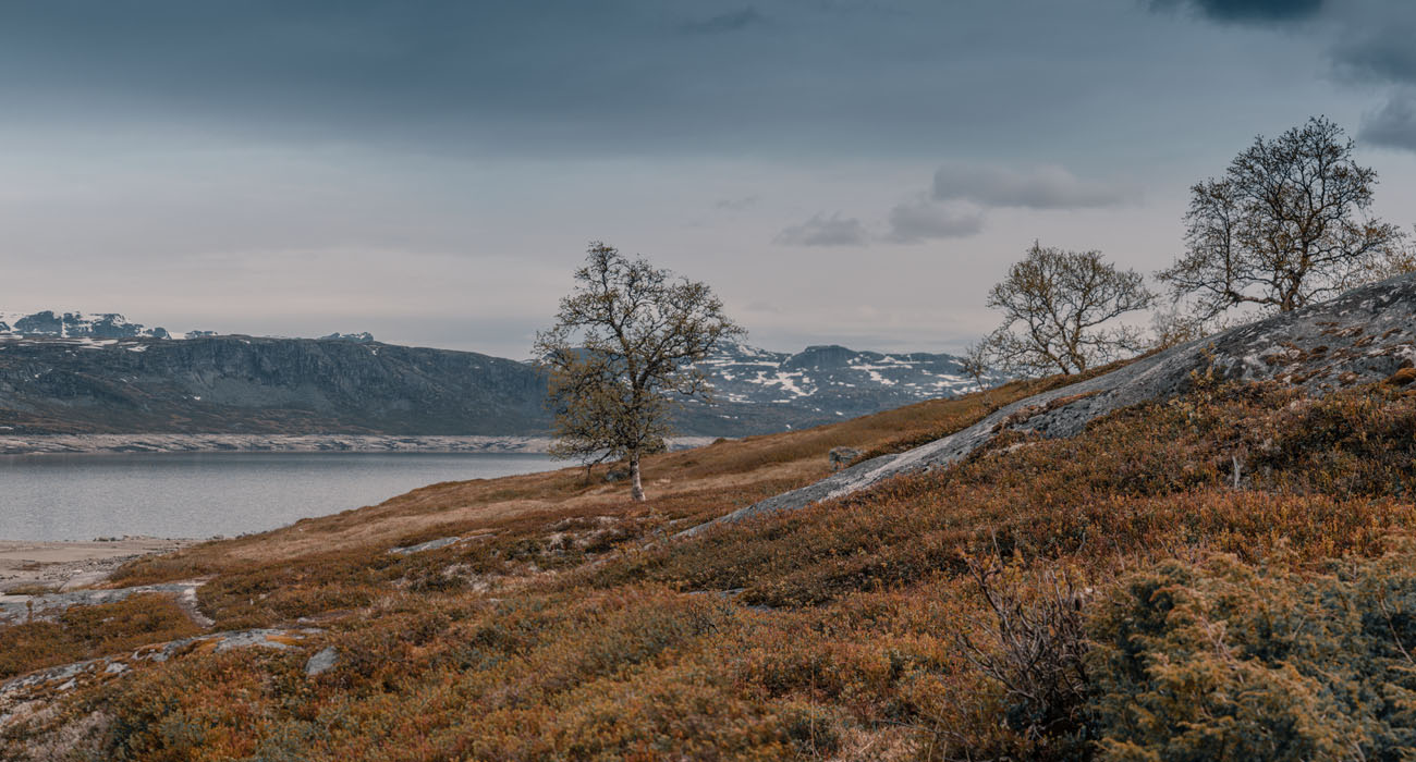 Read more about the article 7 Stunning Travel Photography Style Tips You Need