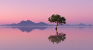 Read more about the article Inspiration for a Great Landscape Photo