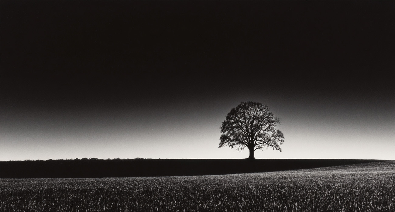 Read more about the article Minimalist Landscapes II