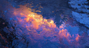 Read more about the article Viewing Photography